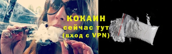 дживик Абинск