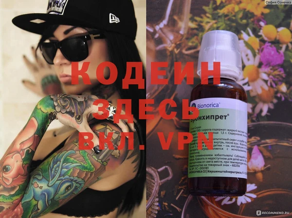 шишки Абаза