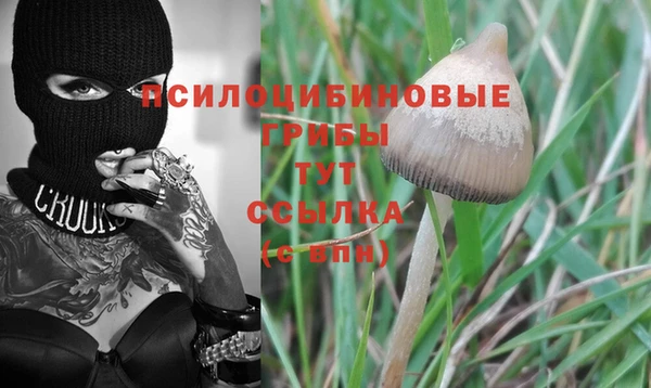 мяу мяу мука Алексеевка